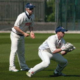 animated gif of various photographs